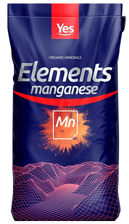 Yes Mineral Magnesio