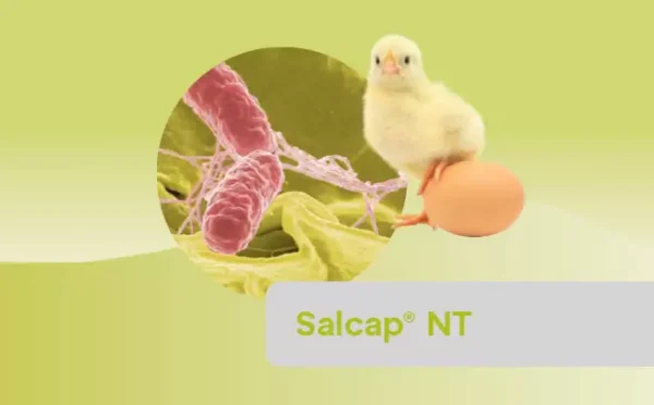 SALCAP